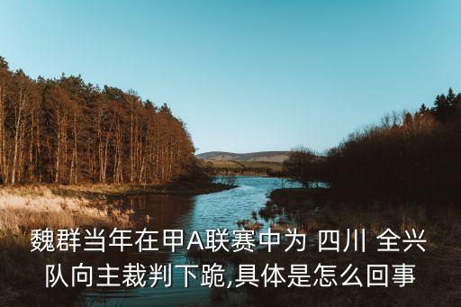 魏群當(dāng)年在甲A聯(lián)賽中為 四川 全興隊(duì)向主裁判下跪,具體是怎么回事