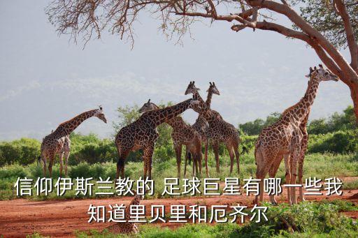 足球運動員穆斯林