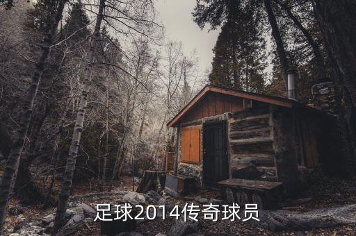 實(shí)況足球2014傳奇球員