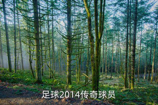 足球2014傳奇球員