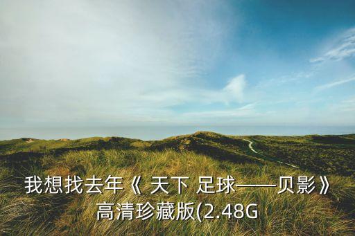 我想找去年《 天下 足球——貝影》高清珍藏版(2.48G