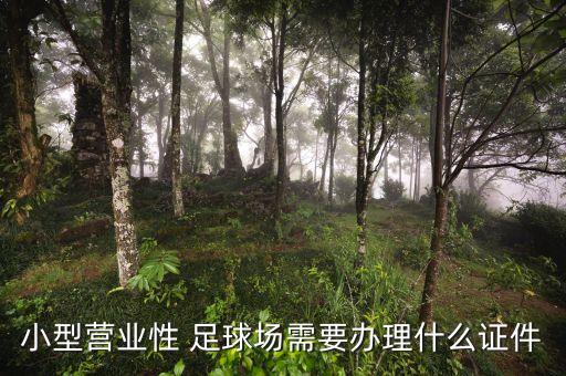 室內(nèi)足球場經(jīng)營模式,室內(nèi)高爾夫俱樂部經(jīng)營模式