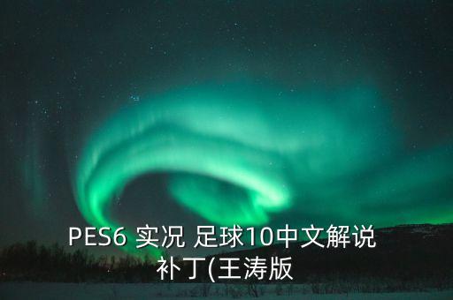 PES6 實(shí)況 足球10中文解說(shuō) 補(bǔ)丁(王濤版