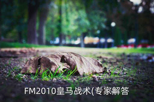 FM2010皇馬戰(zhàn)術(shù)(專家解答