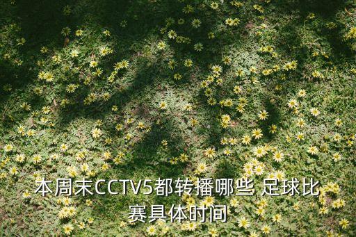 cctv直播足球電臺,英格蘭足球超級聯(lián)賽直播 CCTV