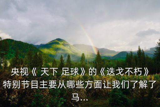 天下足球特別策劃巨星