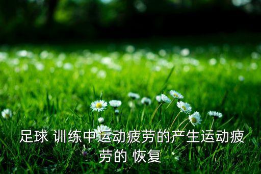  足球 訓(xùn)練中運(yùn)動疲勞的產(chǎn)生運(yùn)動疲勞的 恢復(fù)