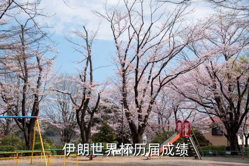  伊朗世界杯歷屆成績