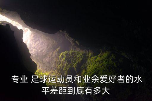  專業(yè) 足球運(yùn)動(dòng)員和業(yè)余愛(ài)好者的水平差距到底有多大