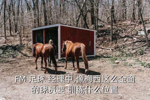 FM 足球 經(jīng)理中,像梅西這么全面的球員要 訓(xùn)練什么位置