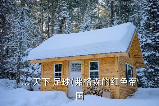 天下足球云下載 迅雷下載地址