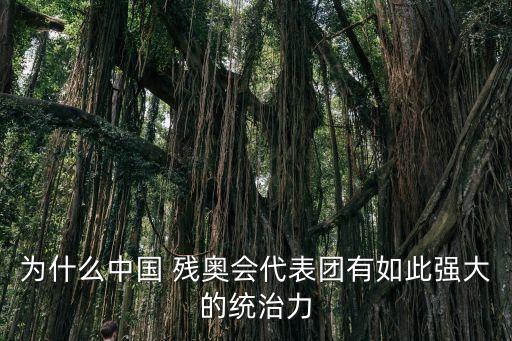 為什么中國 殘奧會代表團有如此強大的統(tǒng)治力