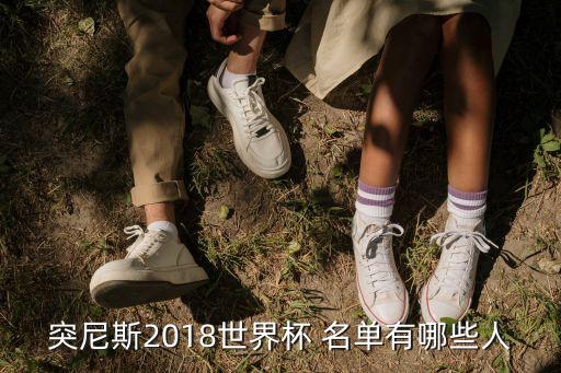突尼斯2018世界杯 名單有哪些人