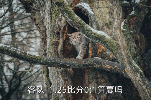客隊(duì)  1.25比分0:1算贏嗎