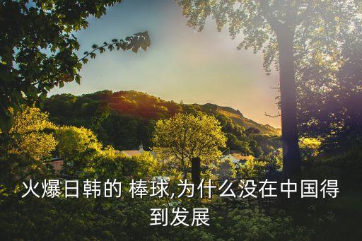 火爆日韓的 棒球,為什么沒在中國得到發(fā)展