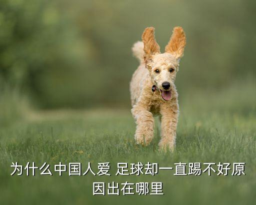 為什么中國人愛 足球卻一直踢不好原因出在哪里