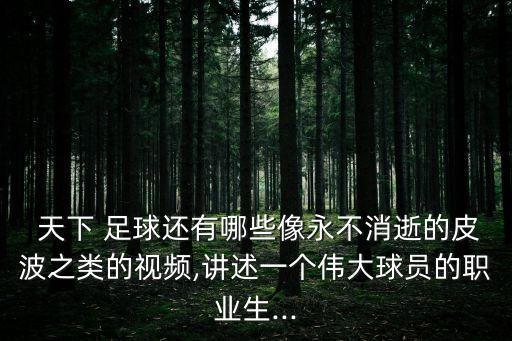  天下 足球還有哪些像永不消逝的皮波之類的視頻,講述一個偉大球員的職業(yè)生...