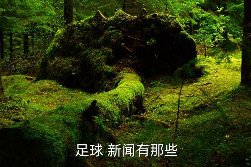 足球和新聞,足球新聞稿范文200字