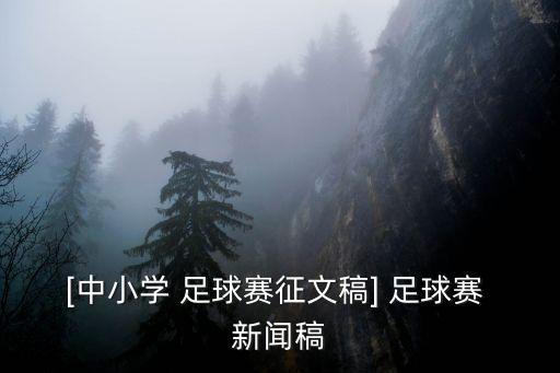 [中小學 足球賽征文稿] 足球賽 新聞稿