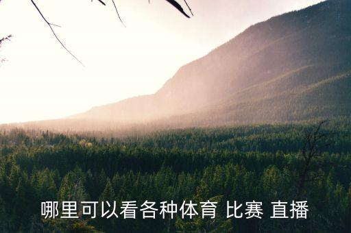 手機(jī)免費(fèi)足球比賽在線直播,cctv5在線直播觀看足球比賽
