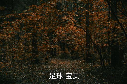 06世界杯足球?qū)氊惾珗D,2022卡塔爾世界杯足球?qū)氊? /></a><a href=