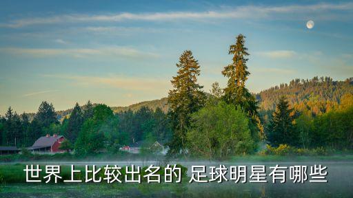 世界上比較出名的 足球明星有哪些