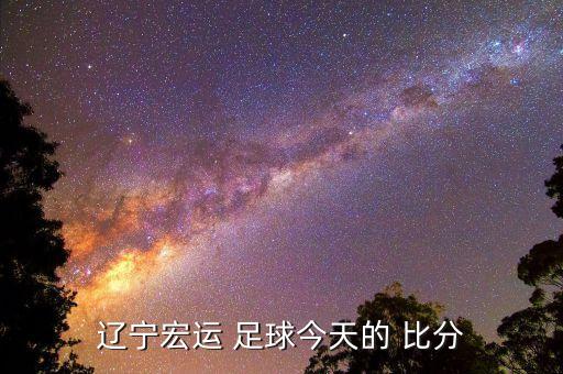 遼寧宏運(yùn) 足球今天的 比分