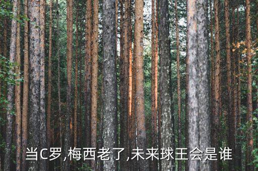 當(dāng)C羅,梅西老了,未來球王會是誰