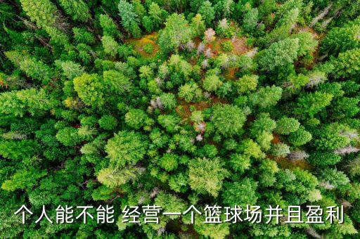 個人能不能 經營一個籃球場并且盈利