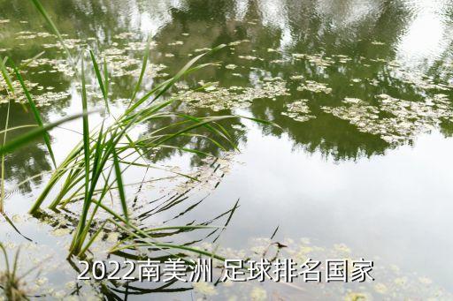 2022南美洲 足球排名國家