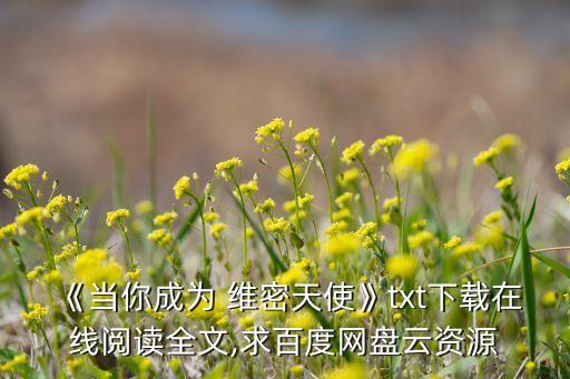 《當(dāng)你成為 維密天使》txt下載在線閱讀全文,求百度網(wǎng)盤云資源