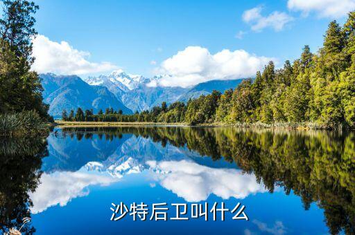  沙特后衛(wèi)叫什么