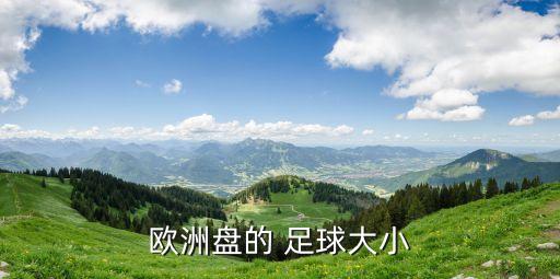 足球大1.25是什么意思,足球指數(shù) 1.25是什么意思