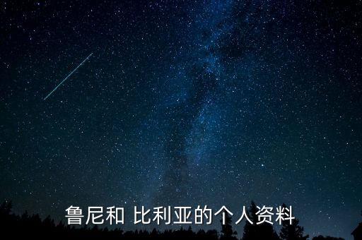 魯尼和 比利亞的個(gè)人資料