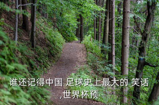 誰還記得中國 足球史上最大的 笑話,世界杯預
