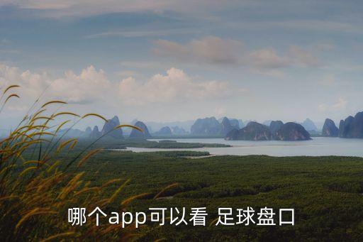 哪個(gè)app可以看 足球盤口