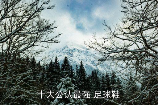 十大公認(rèn)最強 足球鞋