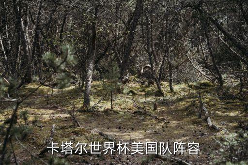 卡塔爾世界杯美國(guó)隊(duì)陣容