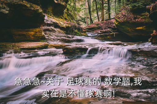 急急急~關(guān)于 足球賽的 數(shù)學(xué)題,我實在是不懂球賽啊!