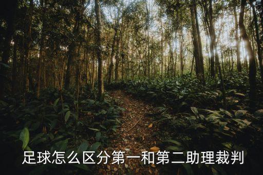  足球怎么區(qū)分第一和第二助理裁判