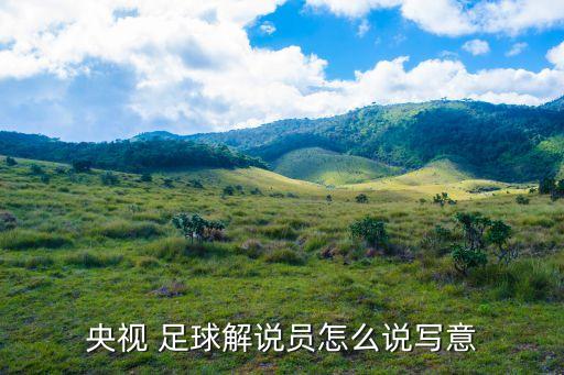 央視 足球解說員怎么說寫意