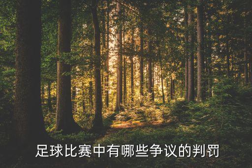 足球 德容飛踹阿隆索,飛踹阿隆索的德容是哪個