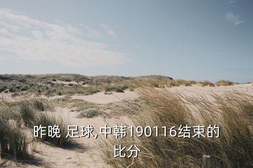 昨晚 足球,中韓190116結(jié)束的比分