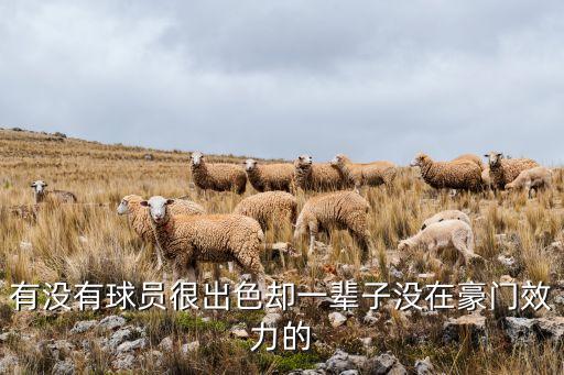 有沒有球員很出色卻一輩子沒在豪門效力的