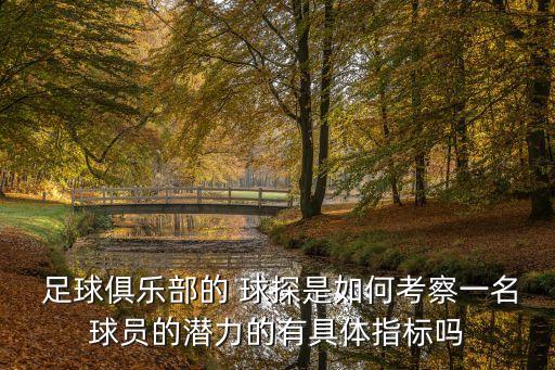  足球俱樂部的 球探是如何考察一名球員的潛力的有具體指標(biāo)嗎