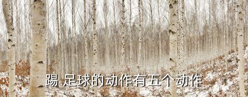 足球膝關(guān)節(jié)外旋,足球運(yùn)動(dòng)員膝關(guān)節(jié)疼痛