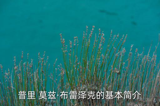 普里 莫茲·布雷澤克的基本簡介