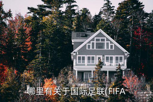 哪里有關(guān)于國際足聯(lián)(FIFA