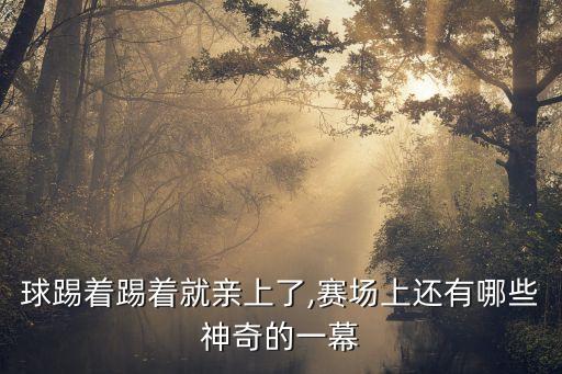 球踢著(zhù)踢著(zhù)就親上了,賽場(chǎng)上還有哪些神奇的一幕