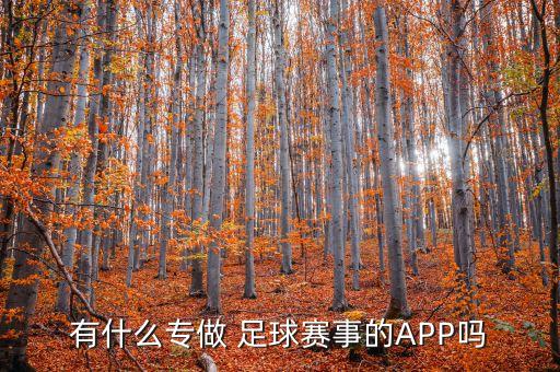 我愛(ài)足球直播,楊大人我愛(ài)足球作文直播課